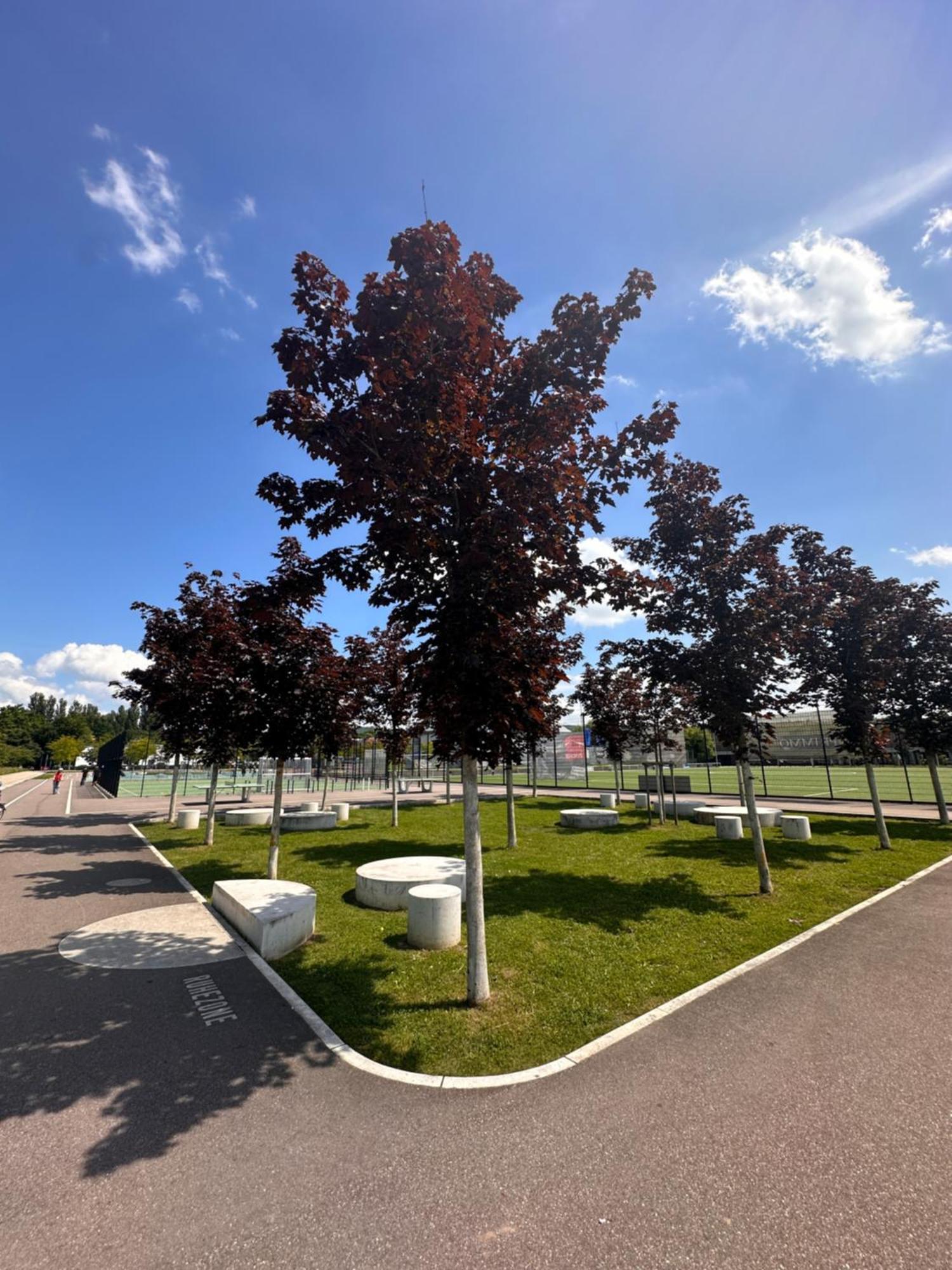 Amao-Brown I Exklusives City-Apartment I 85Qm I Privatparkplatz & Komfort I King-Size Bed Lahr  Buitenkant foto