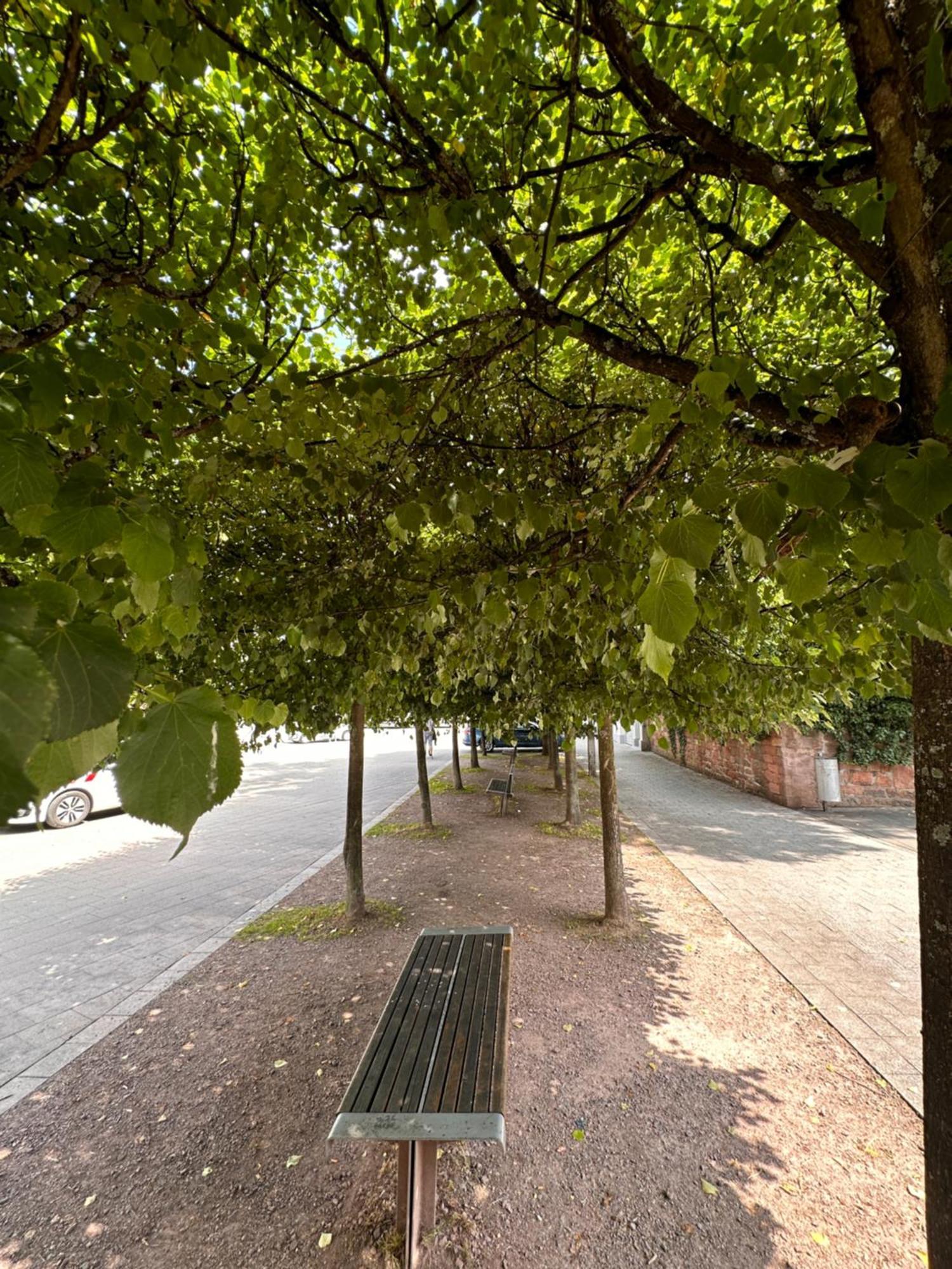 Amao-Brown I Exklusives City-Apartment I 85Qm I Privatparkplatz & Komfort I King-Size Bed Lahr  Buitenkant foto