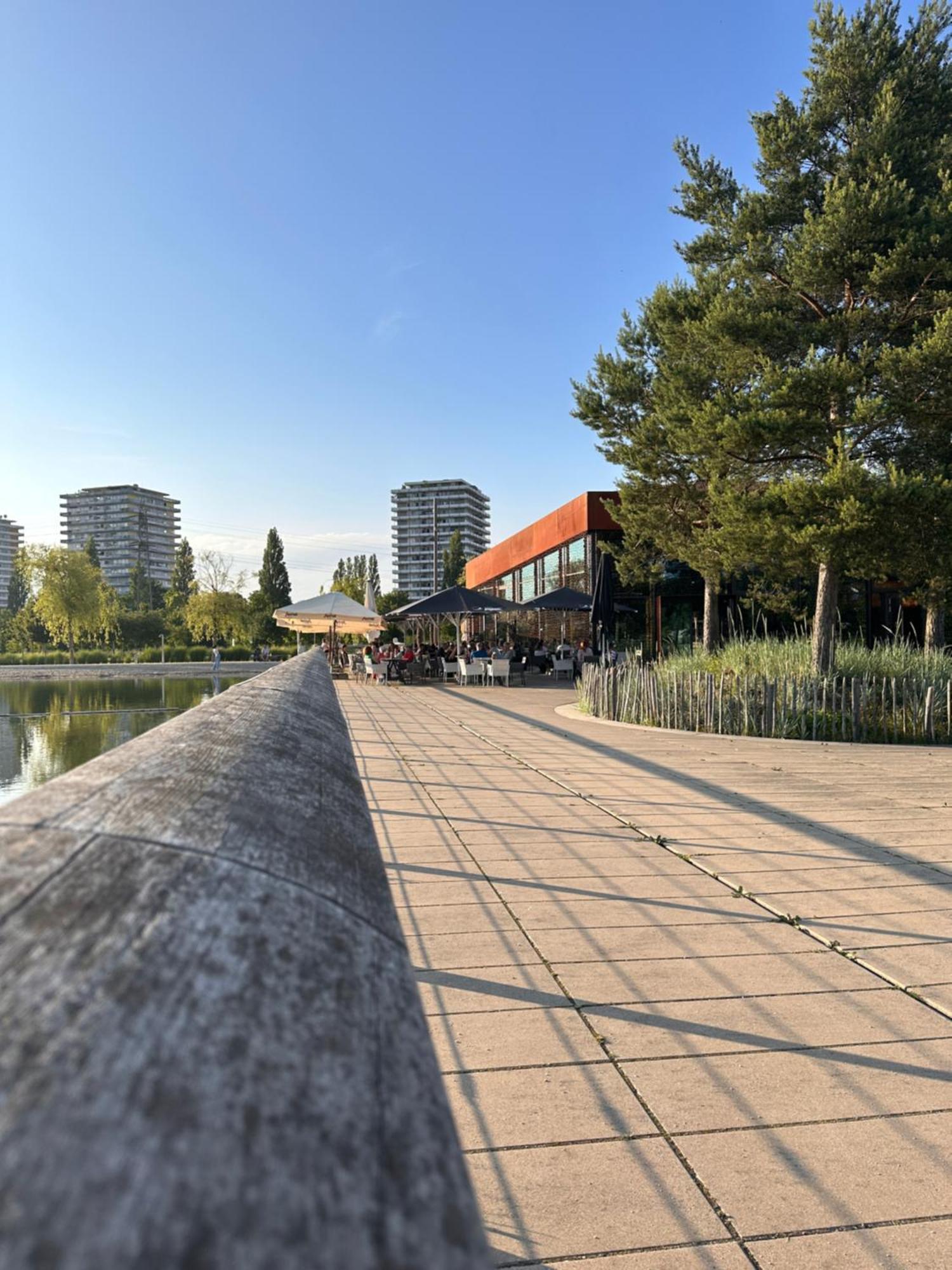 Amao-Brown I Exklusives City-Apartment I 85Qm I Privatparkplatz & Komfort I King-Size Bed Lahr  Buitenkant foto